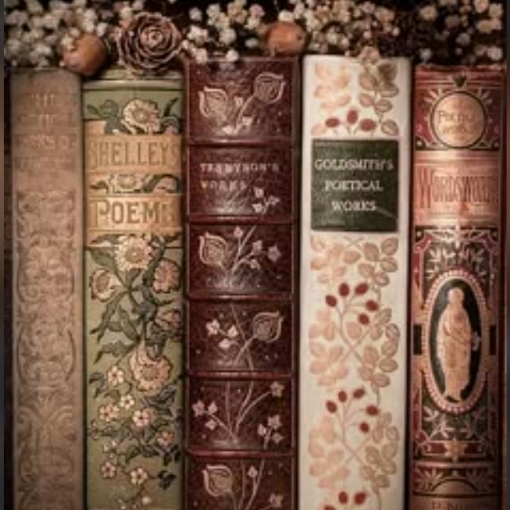 Girlnwonderland Is Livee ✨️📚 - Picture 3 of 5